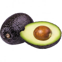 Large Avocados Each